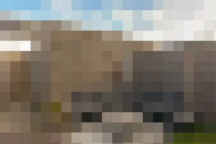 Droogmakerij 35 Wilnis thumbnail 28