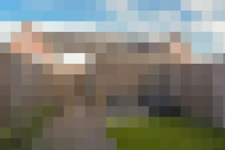 Droogmakerij 35 Wilnis thumbnail 4