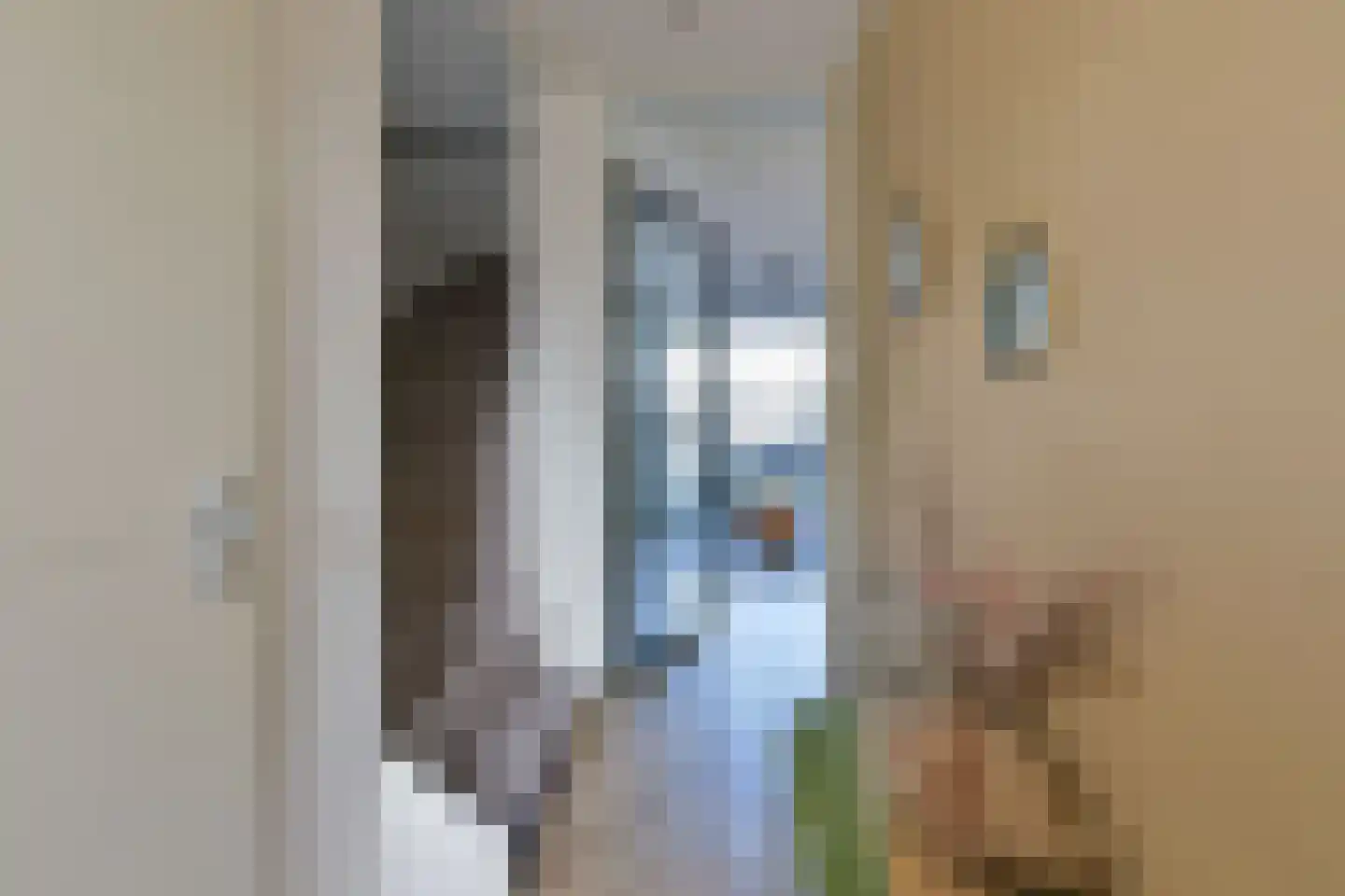 Droogmakerij 35 Wilnis thumbnail 7