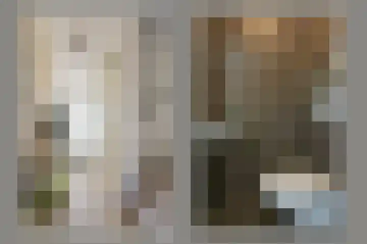 Droogmakerij 35 Wilnis thumbnail 8