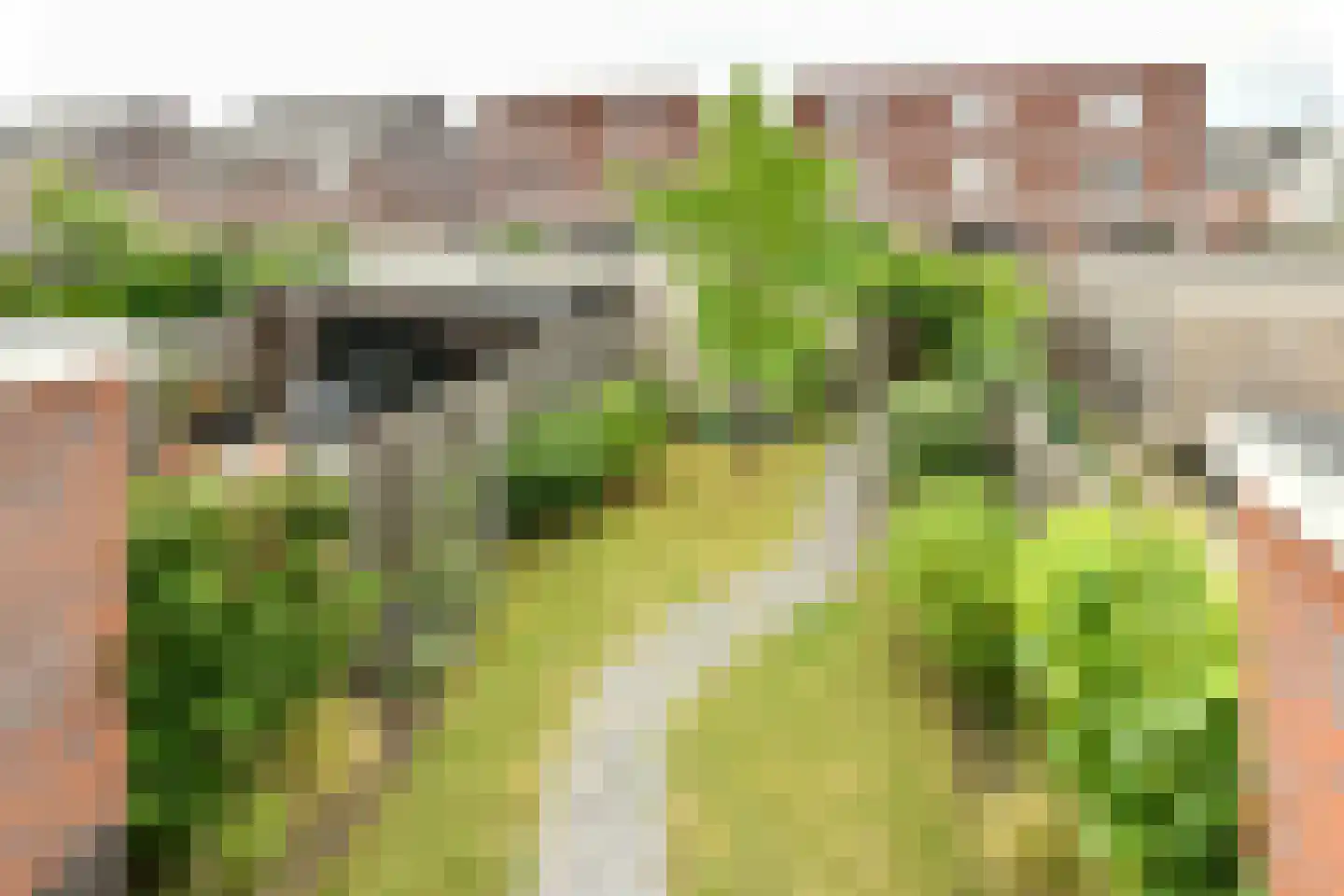 Droogmakerij 6 Wilnis thumbnail 16