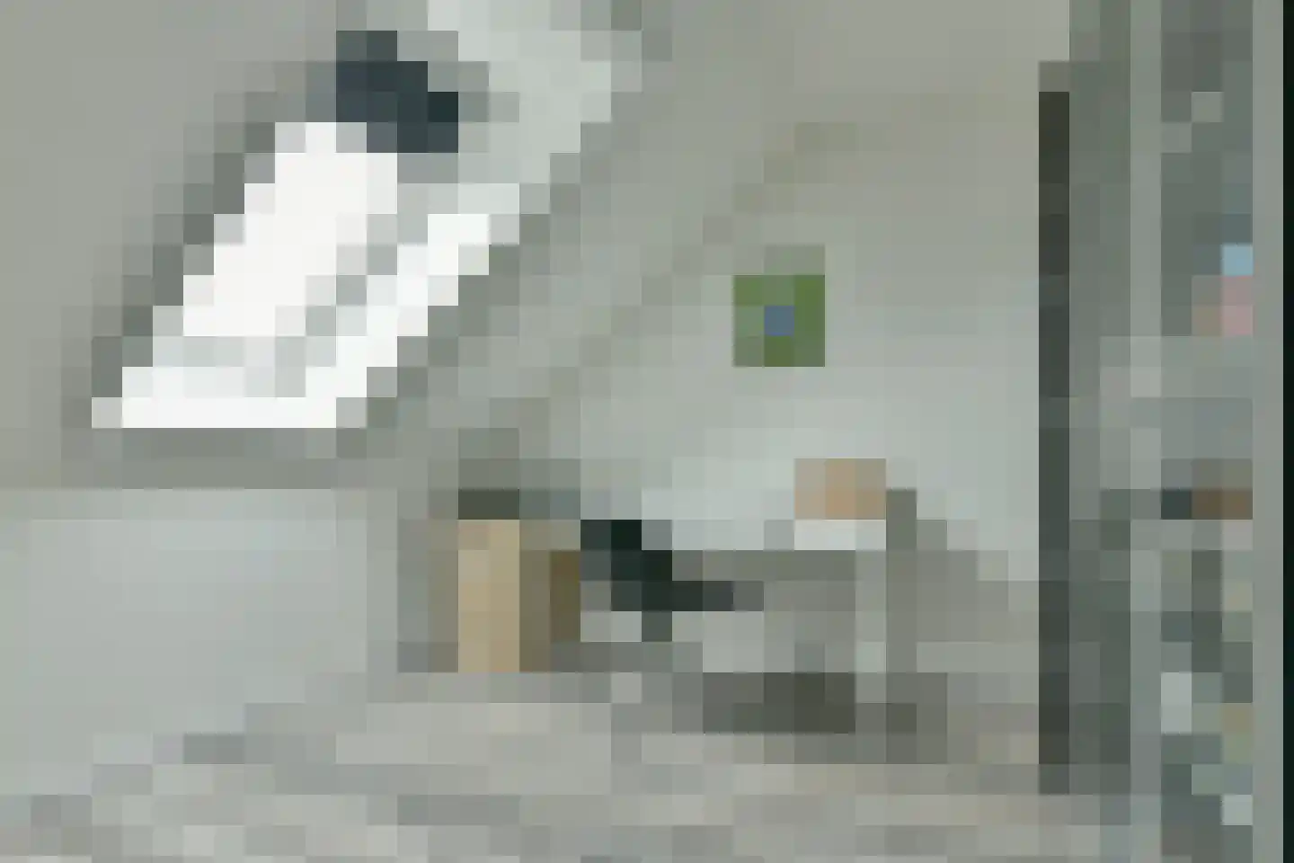 Droogmakerij 6 Wilnis thumbnail 20