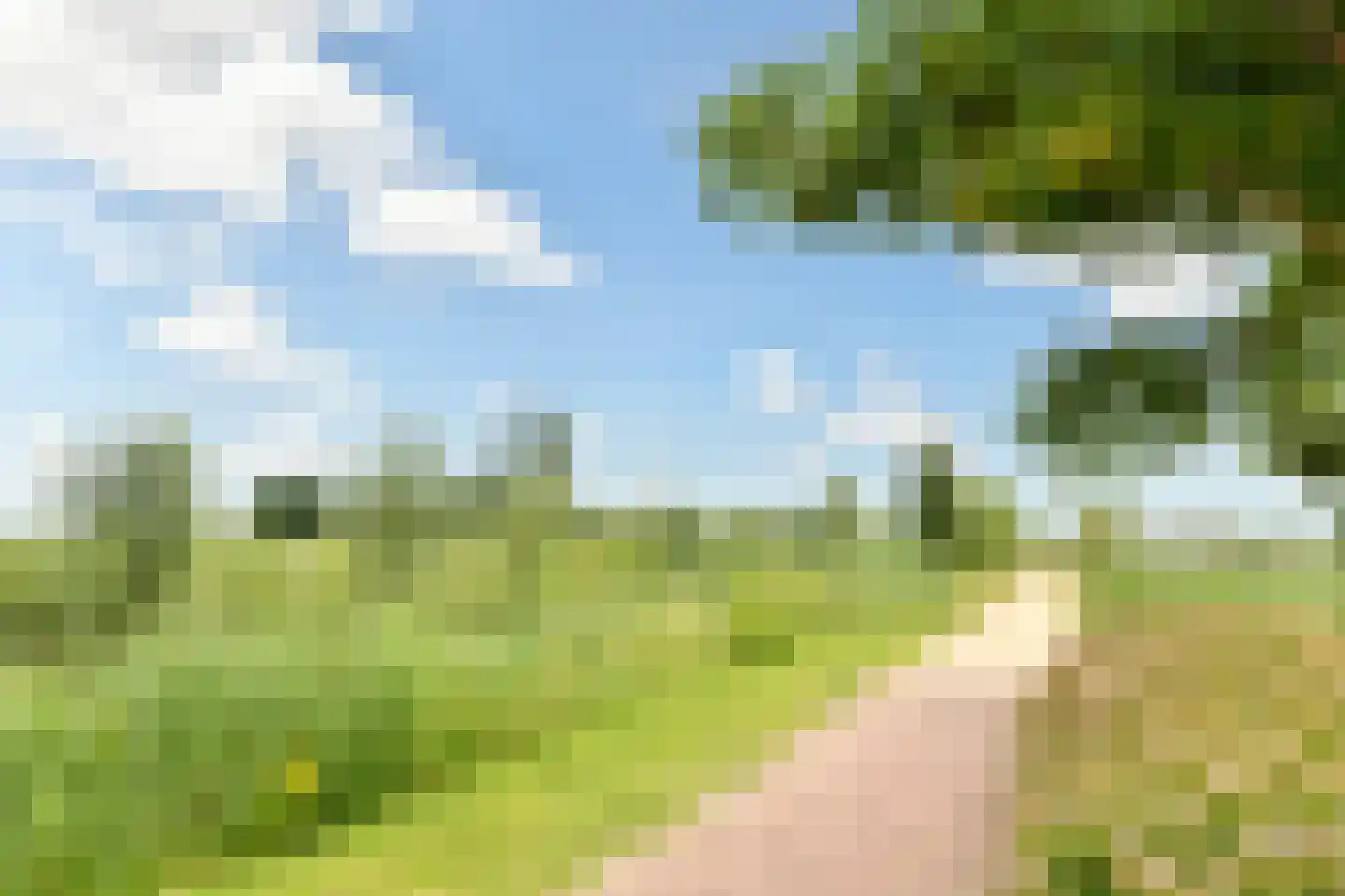Droogmakerij 6 Wilnis thumbnail 26