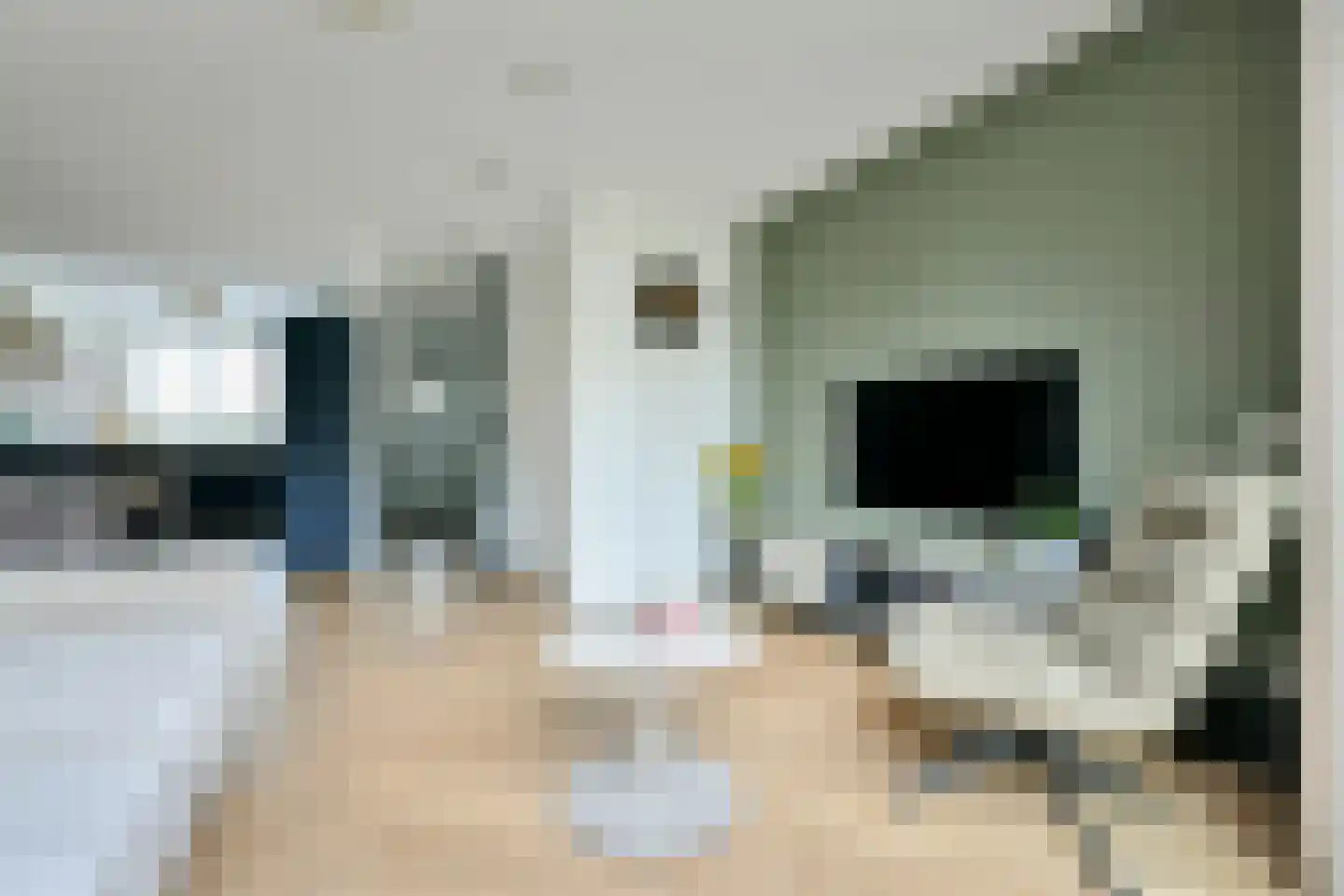 Droogmakerij 6 Wilnis thumbnail 6