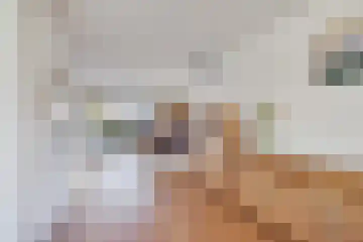 Droogveld 8 Tolkamer thumbnail 13