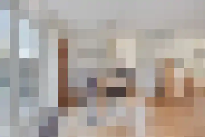 Droogveld 8 Tolkamer thumbnail 14