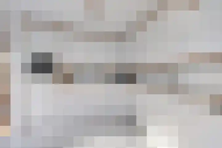 Droogveld 8 Tolkamer thumbnail 16