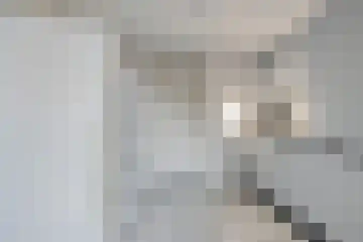 Droogveld 8 Tolkamer thumbnail 19