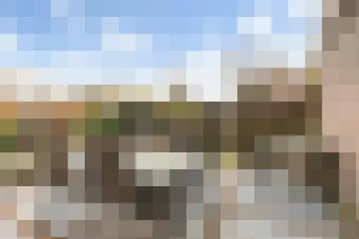 Droogveld 8 Tolkamer thumbnail 20