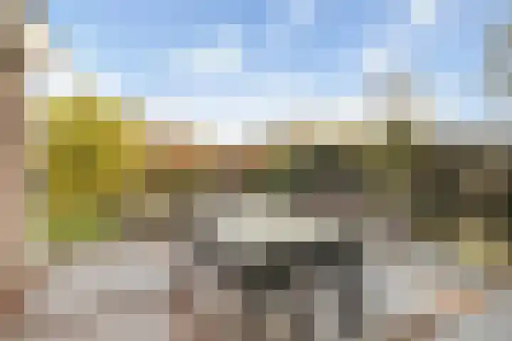 Droogveld 8 Tolkamer thumbnail 21