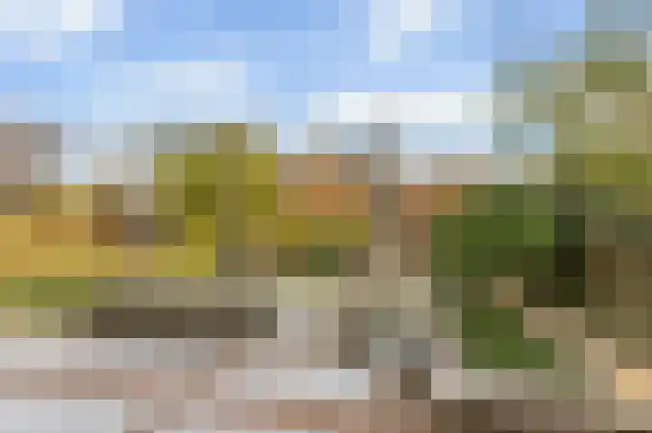 Droogveld 8 Tolkamer thumbnail 22