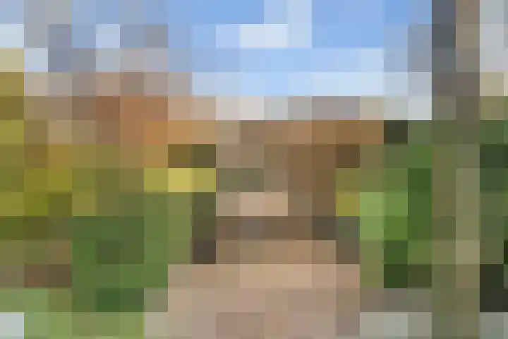 Droogveld 8 Tolkamer thumbnail 23