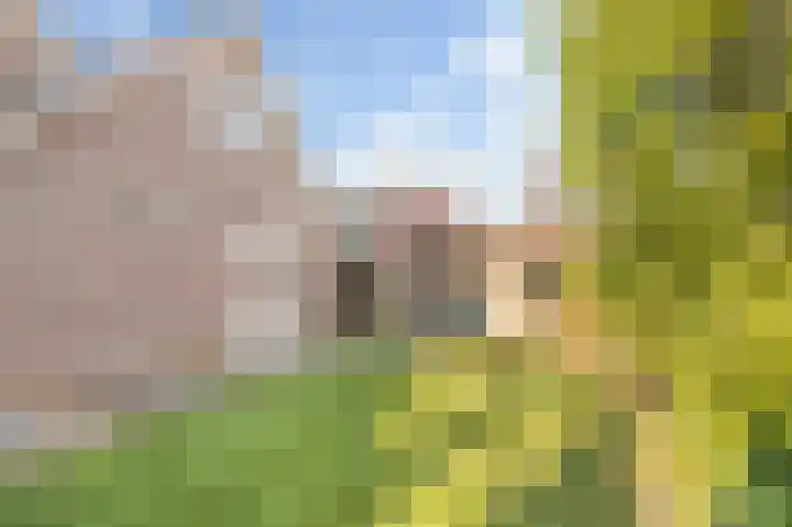 Droogveld 8 Tolkamer thumbnail 24