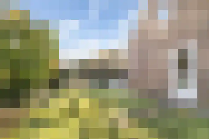 Droogveld 8 Tolkamer thumbnail 25