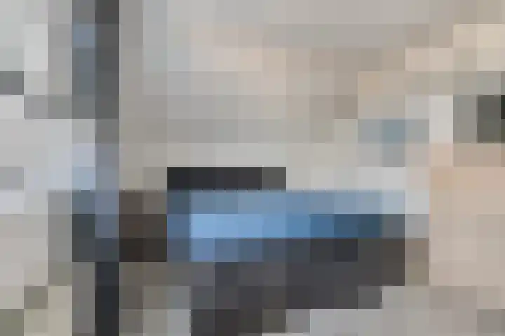 Droogveld 8 Tolkamer thumbnail 30