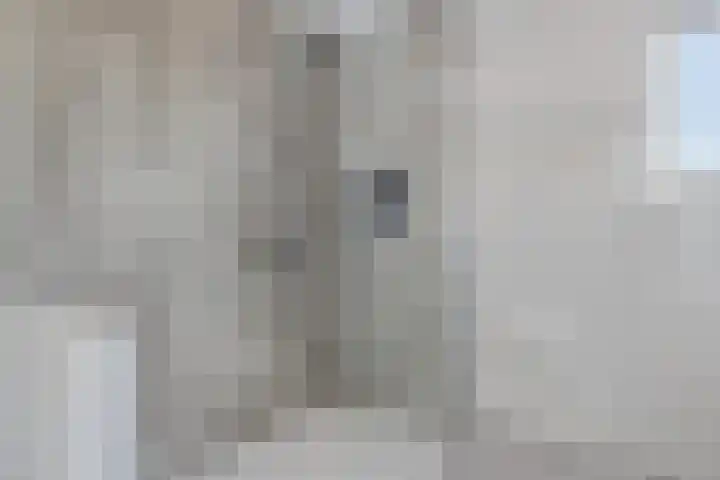Droogveld 8 Tolkamer thumbnail 33