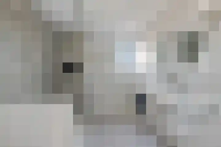 Droogveld 8 Tolkamer thumbnail 4