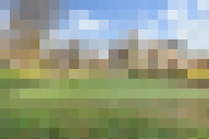 Droogveld 8 Tolkamer thumbnail 40