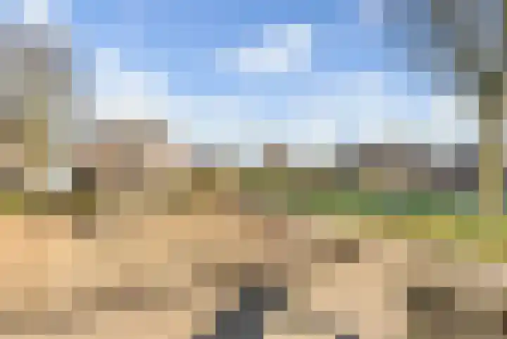 Droogveld 8 Tolkamer thumbnail 41