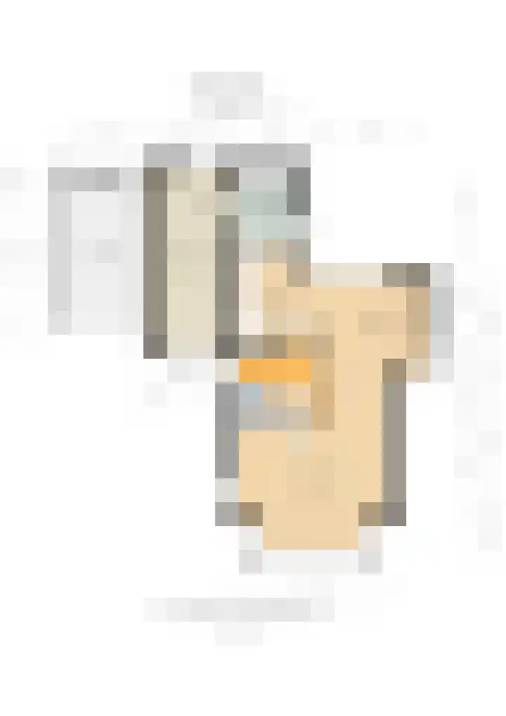 Droogveld 8 Tolkamer thumbnail 42