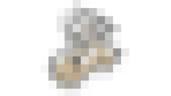 Droogveld 8 Tolkamer thumbnail 44