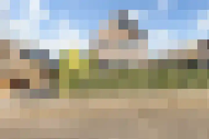 Droogveld 8 Tolkamer thumbnail 5