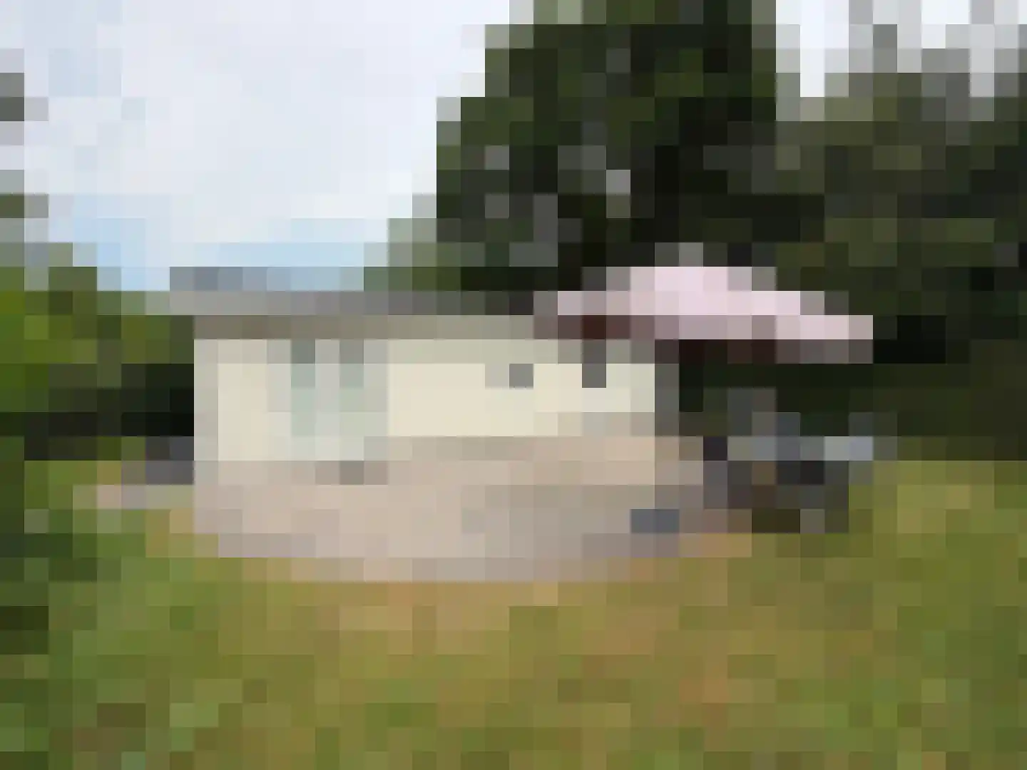 Droompark Buitenhuizen 272 Velsen-Zuid thumbnail 9