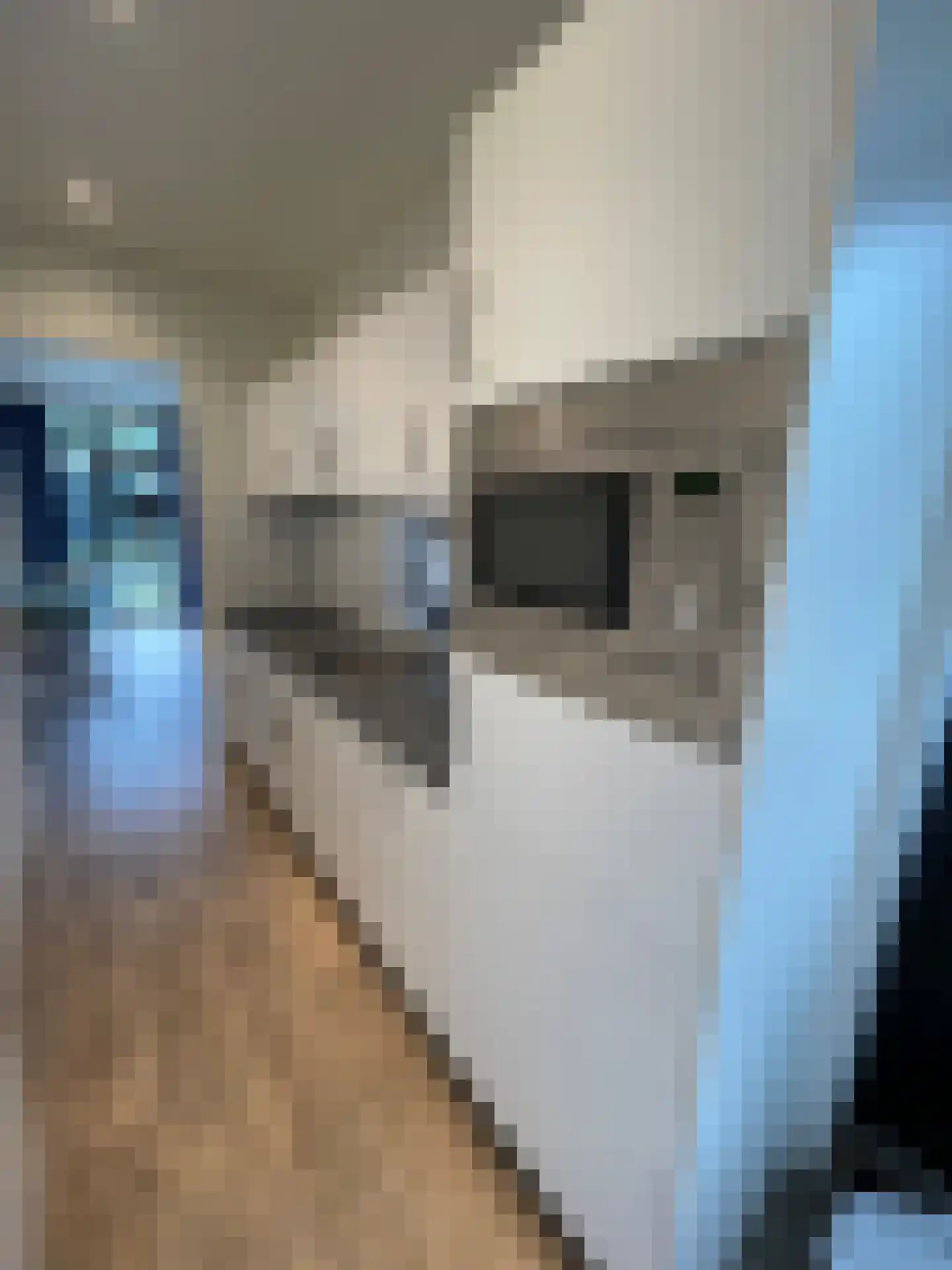 Droompark Buitenhuizen 410 Velsen-Zuid thumbnail 10