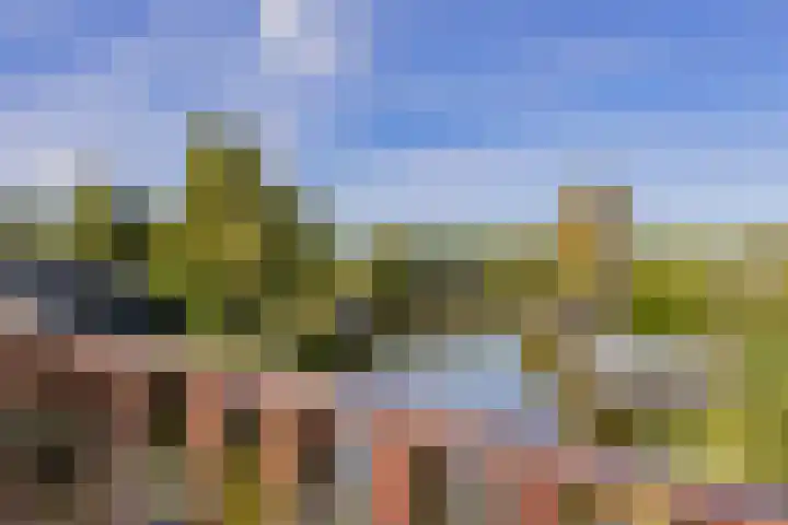 Droompark Buitenhuizen 71 Velsen-Zuid thumbnail 35