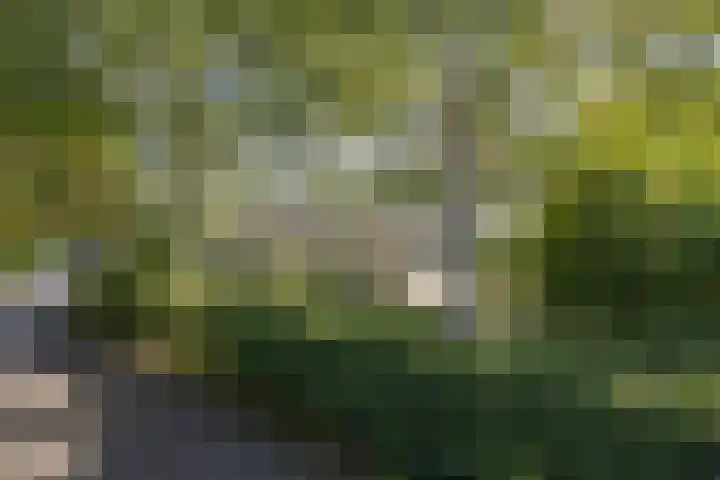 Droompark Buitenhuizen 71 Velsen-Zuid thumbnail 36