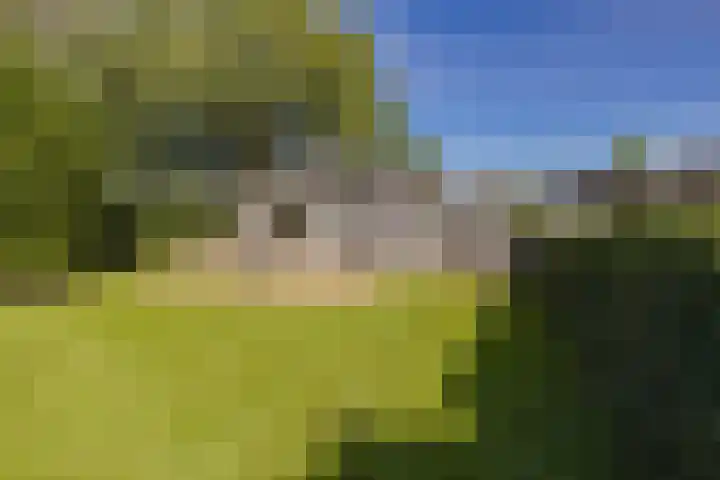 Droompark Buitenhuizen 71 Velsen-Zuid thumbnail 4