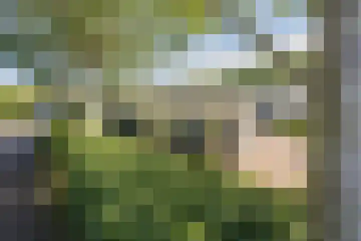 Droompark Buitenhuizen 71 Velsen-Zuid thumbnail 5