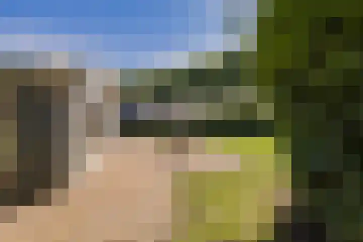 Droompark Buitenhuizen 71 Velsen-Zuid thumbnail 6