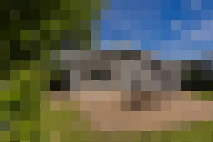 Droompark Buitenhuizen 71 Velsen-Zuid thumbnail 7