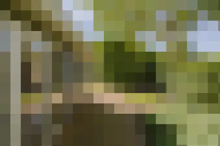 Droompark Buitenhuizen 71 Velsen-Zuid thumbnail 8
