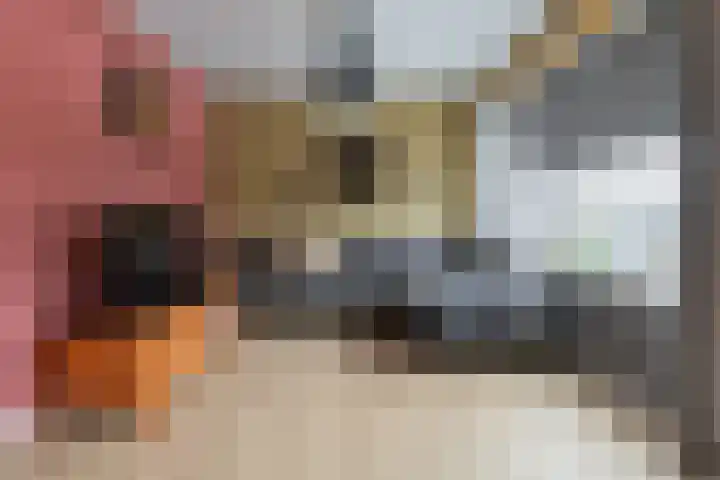 Droppingsveld 11 Groningen thumbnail 16