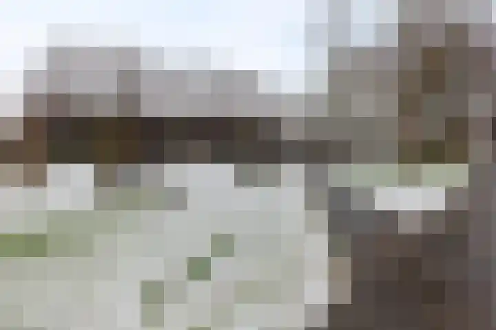 Droppingsveld 11 Groningen thumbnail 35