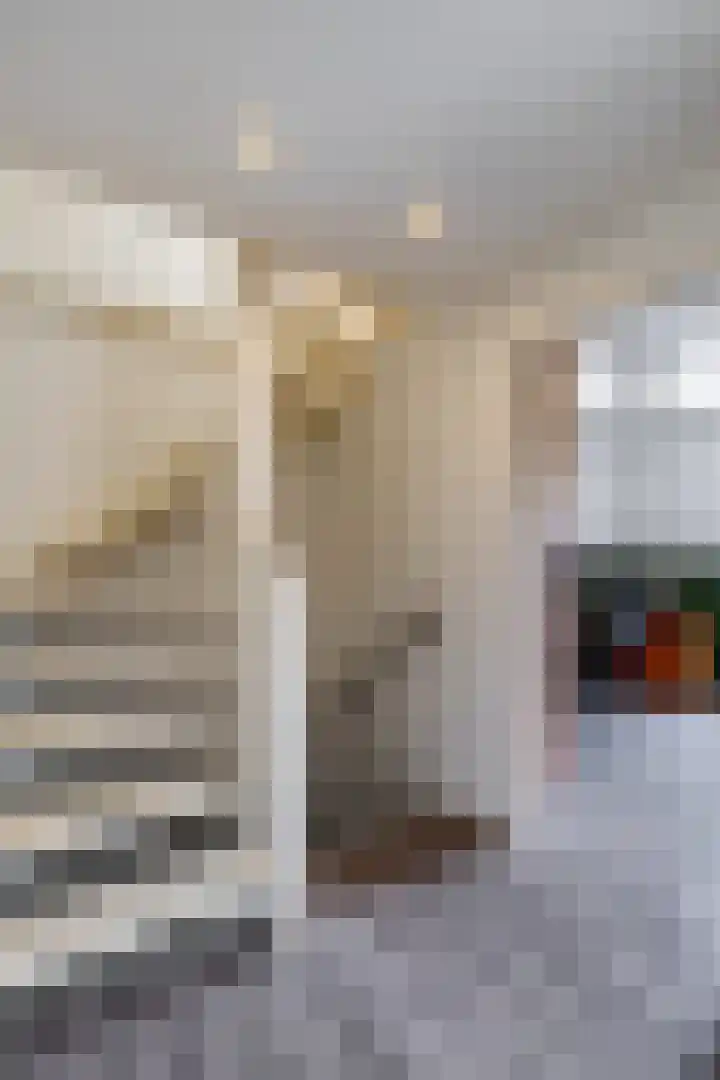 Dross Banensstraat 6 Elsloo thumbnail 13