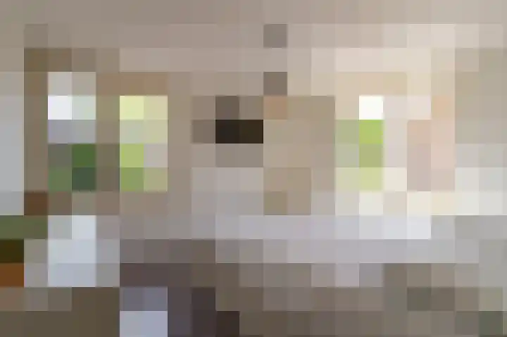 Dross Banensstraat 6 Elsloo thumbnail 14
