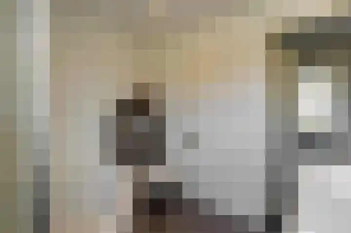 Dross Banensstraat 6 Elsloo thumbnail 21