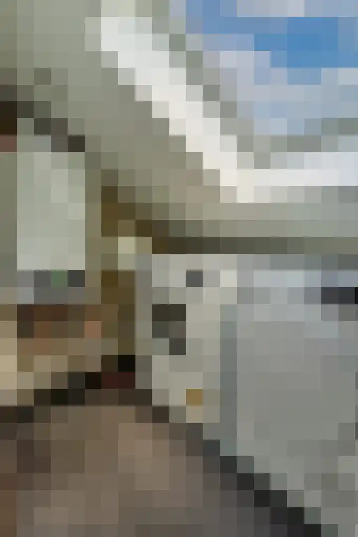 Dross Banensstraat 6 Elsloo thumbnail 24