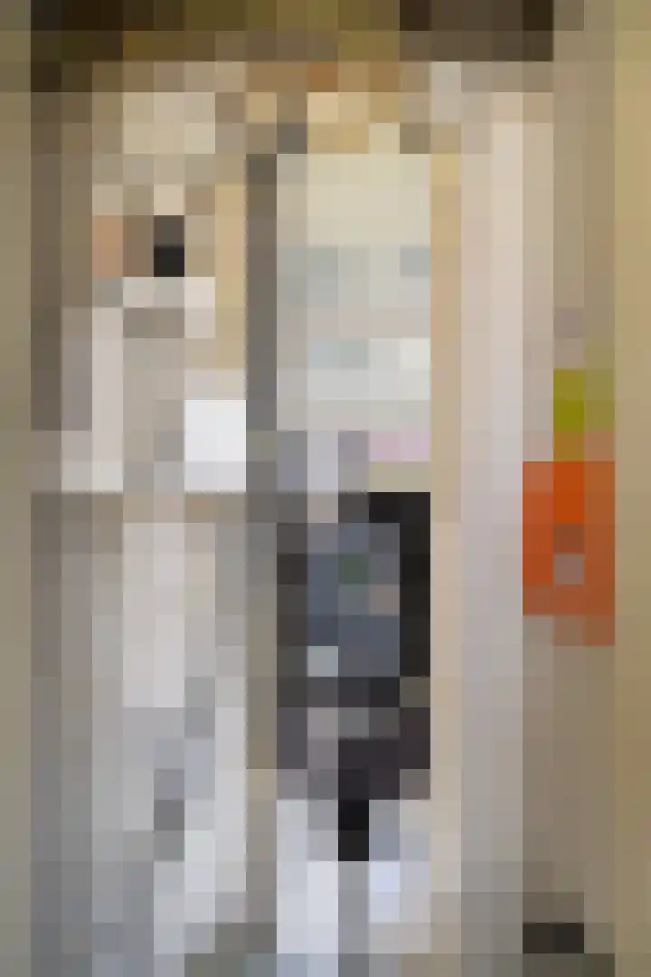 Dross Banensstraat 6 Elsloo thumbnail 31