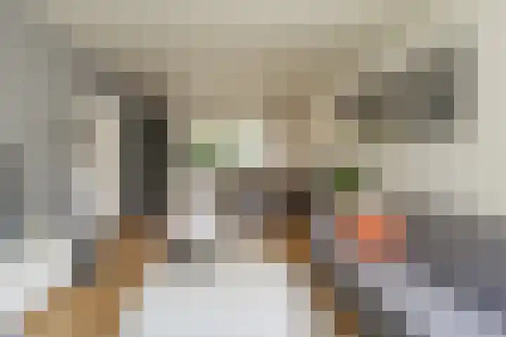 Dross Banensstraat 6 Elsloo thumbnail 7