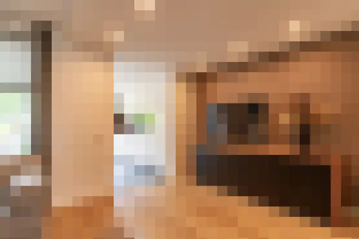 Dross de Limpensstraat 10 Elsloo thumbnail 11