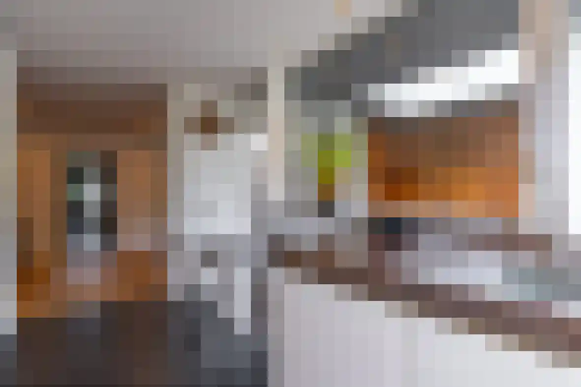Dross de Limpensstraat 10 Elsloo thumbnail 14