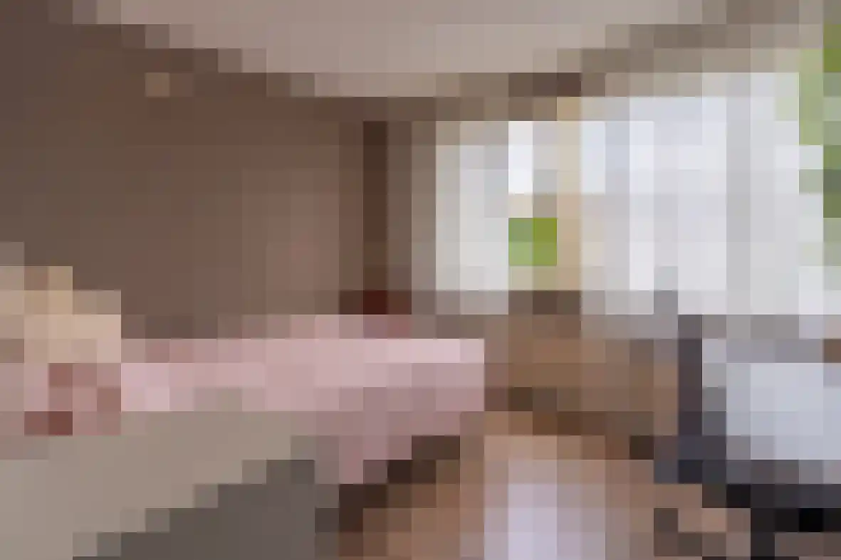 Dross de Limpensstraat 10 Elsloo thumbnail 18