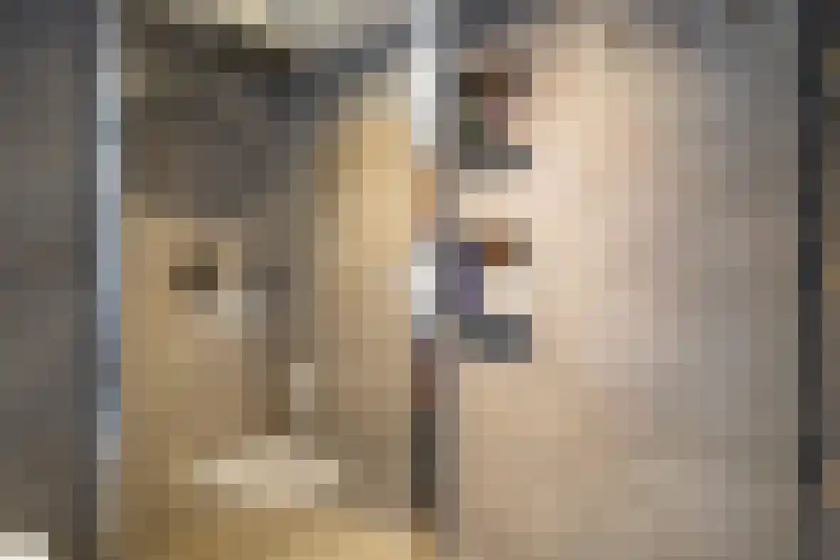 Dross de Limpensstraat 10 Elsloo thumbnail 22