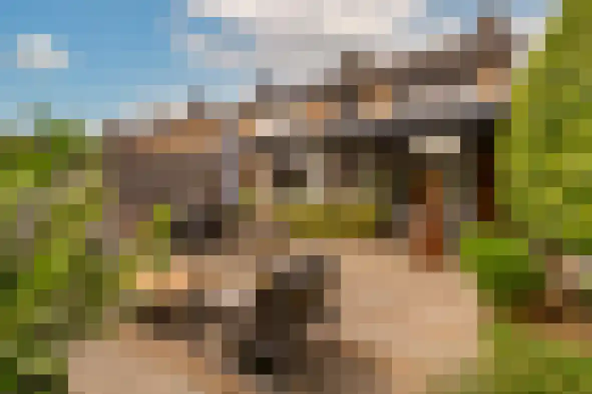 Dross de Limpensstraat 10 Elsloo thumbnail 33