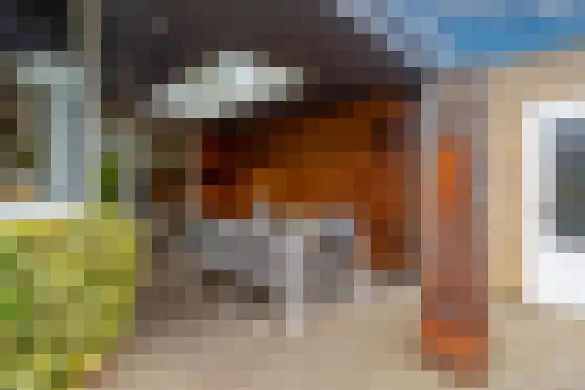 Dross de Limpensstraat 10 Elsloo thumbnail 34