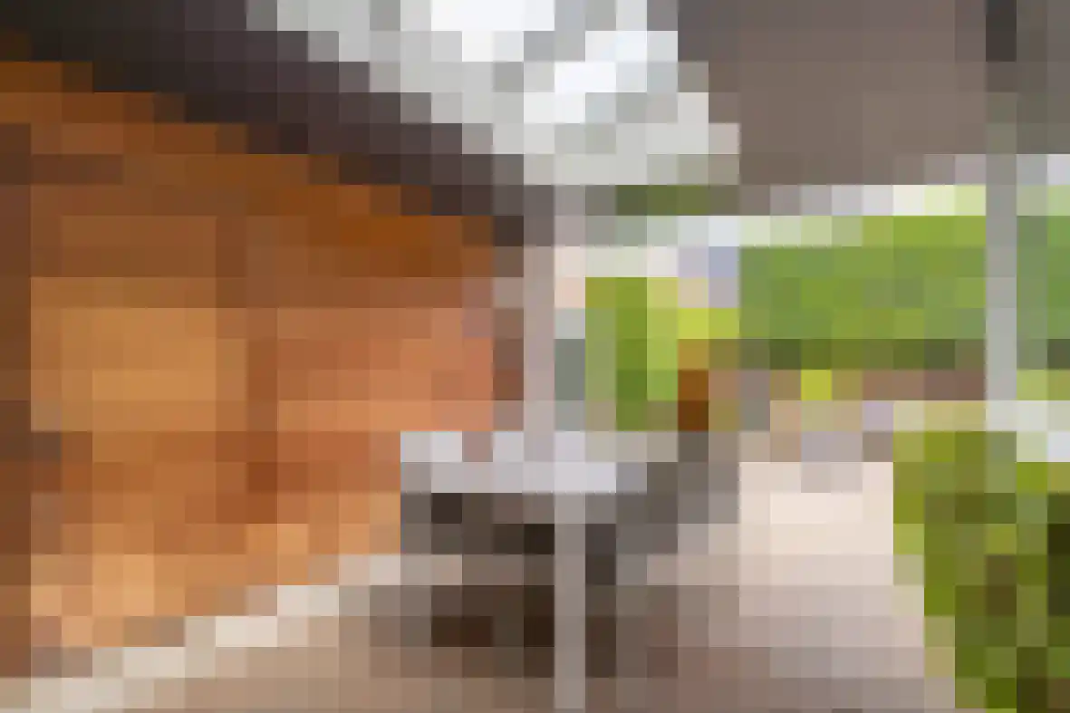 Dross de Limpensstraat 10 Elsloo thumbnail 35
